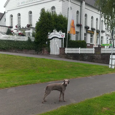 Goldener Anker Bodenwerder